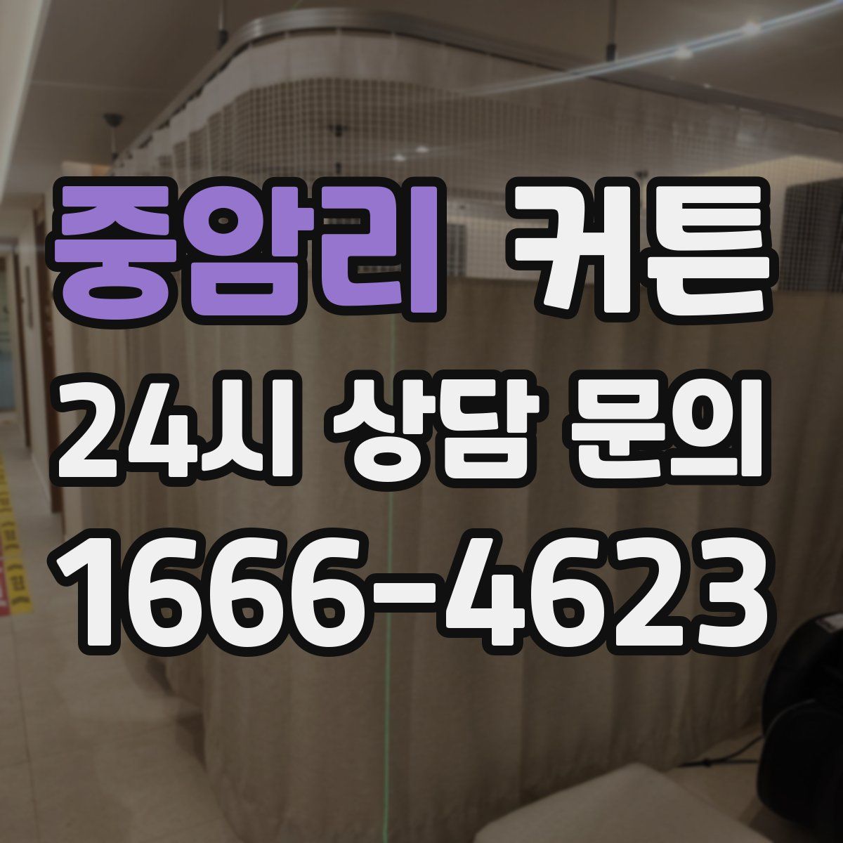 중암리 커튼