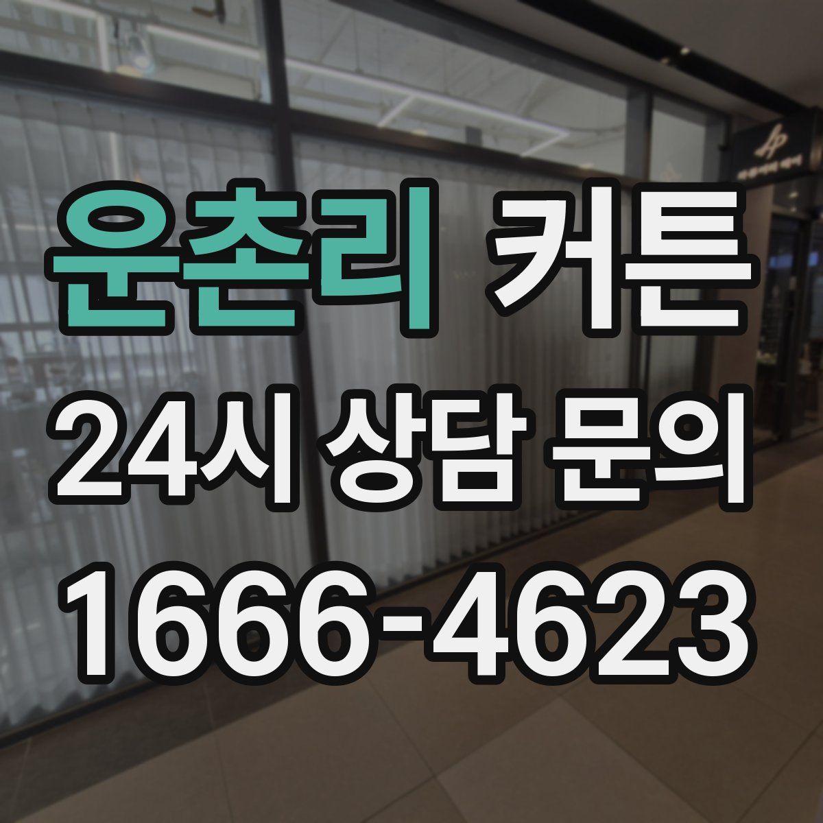 운촌리 커튼