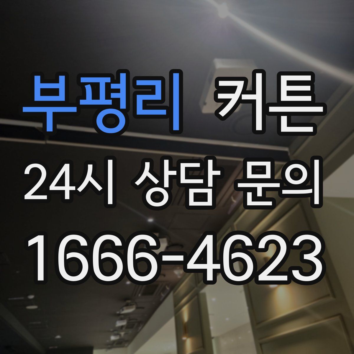 부평리 커튼
