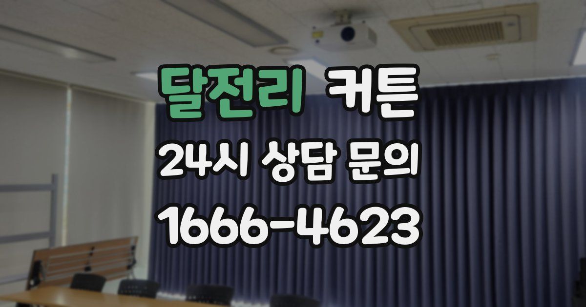 달전리 커튼