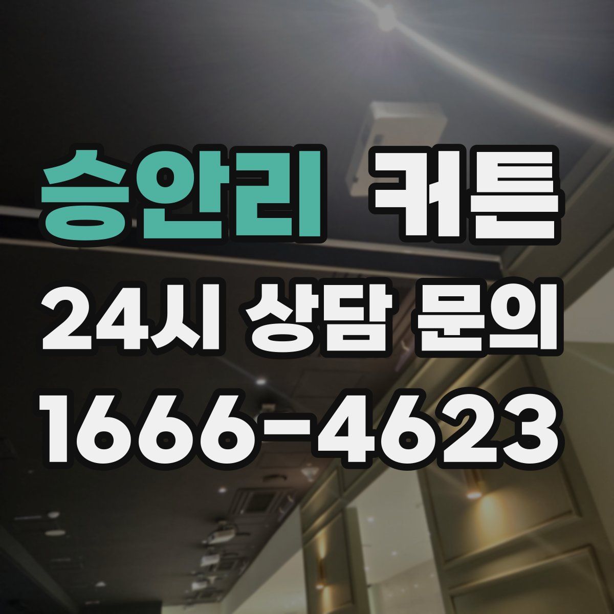승안리 커튼