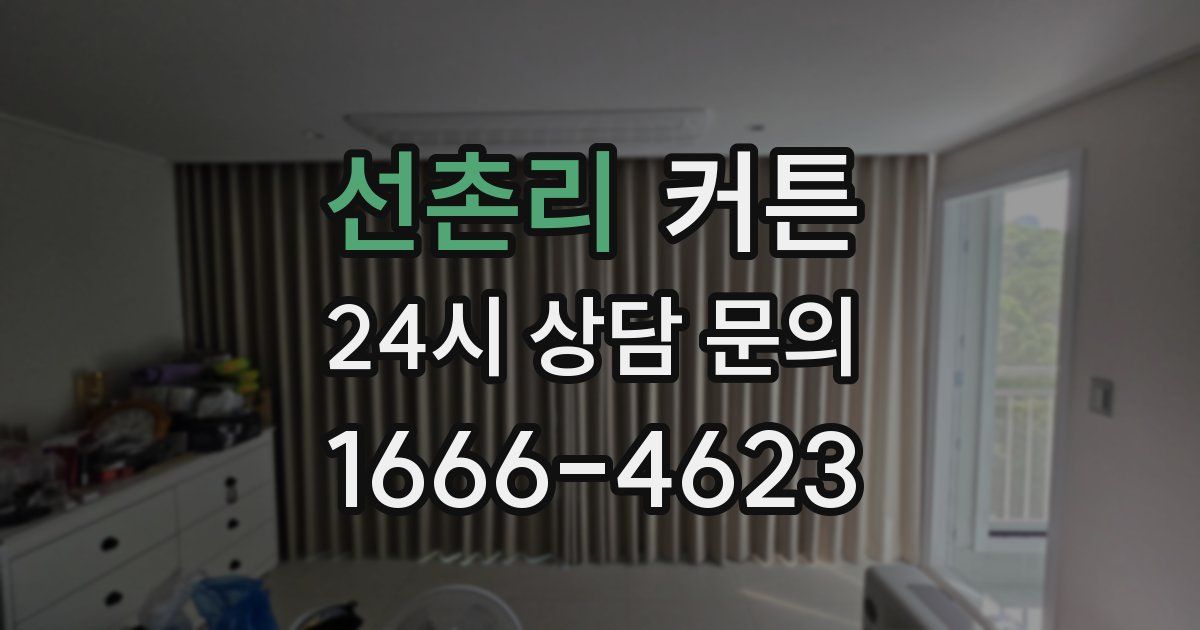 선촌리 커튼