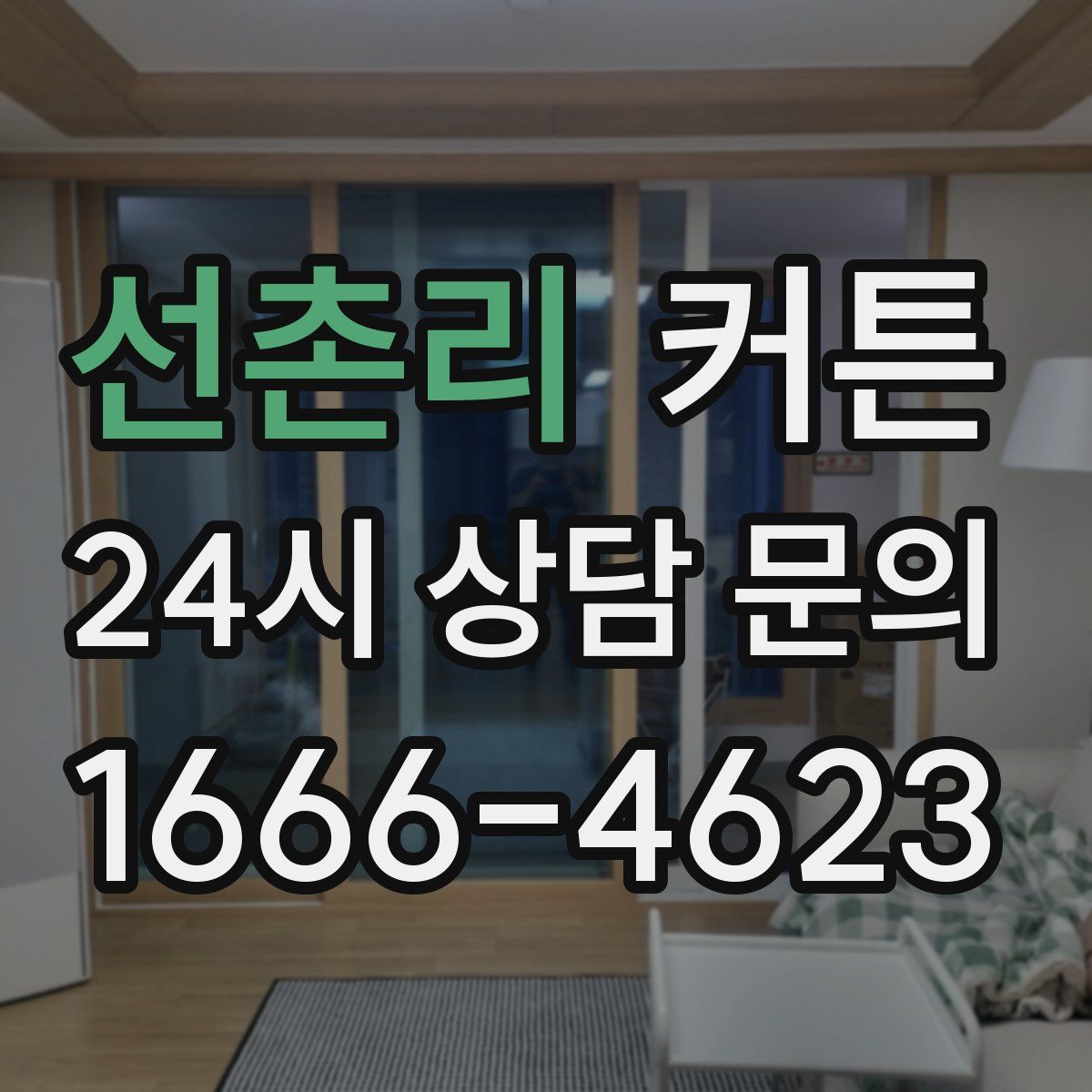 선촌리 커튼