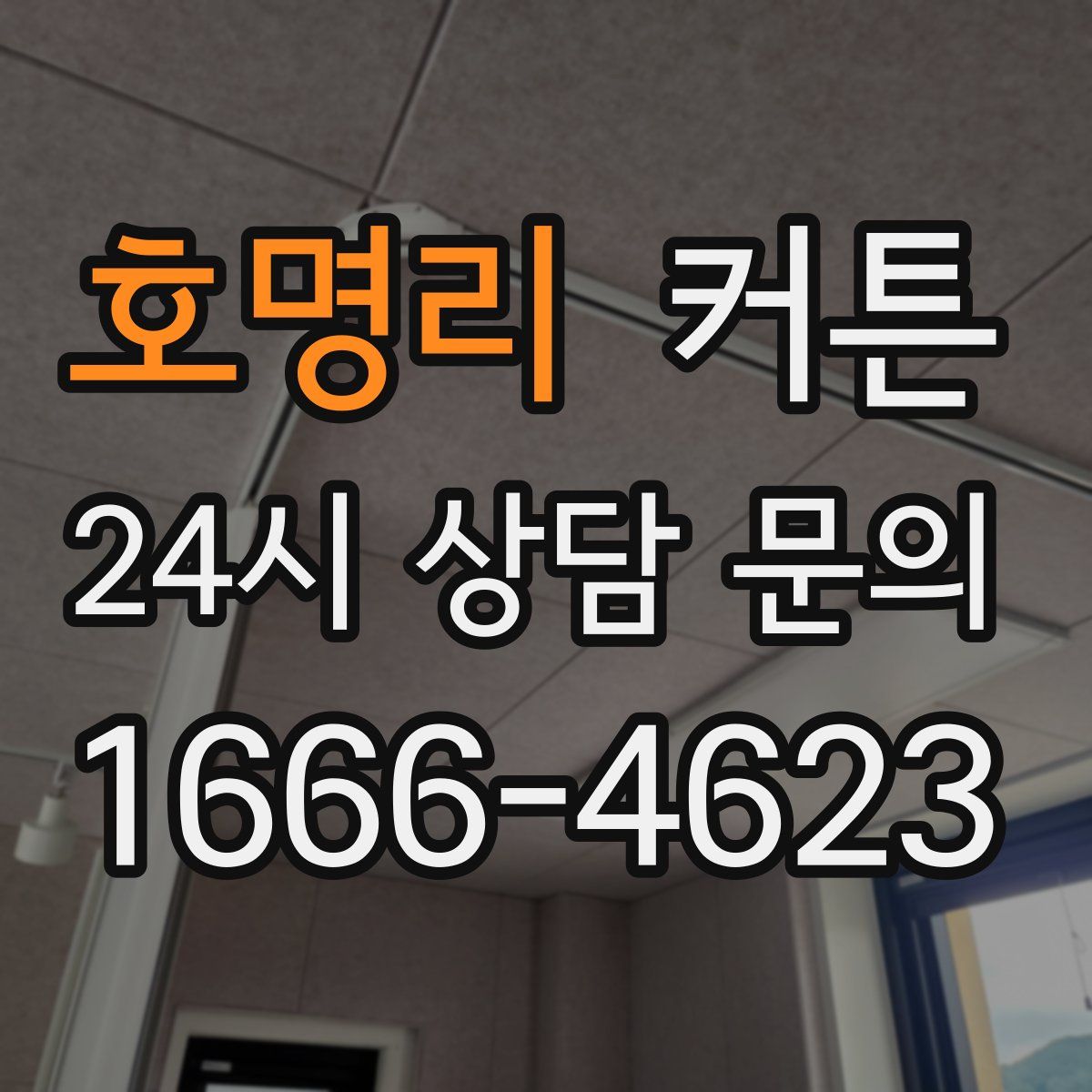 호명리 커튼