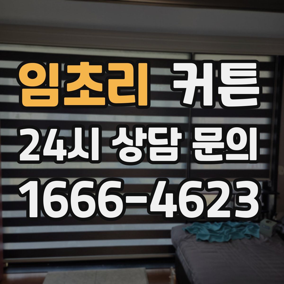 임초리 커튼