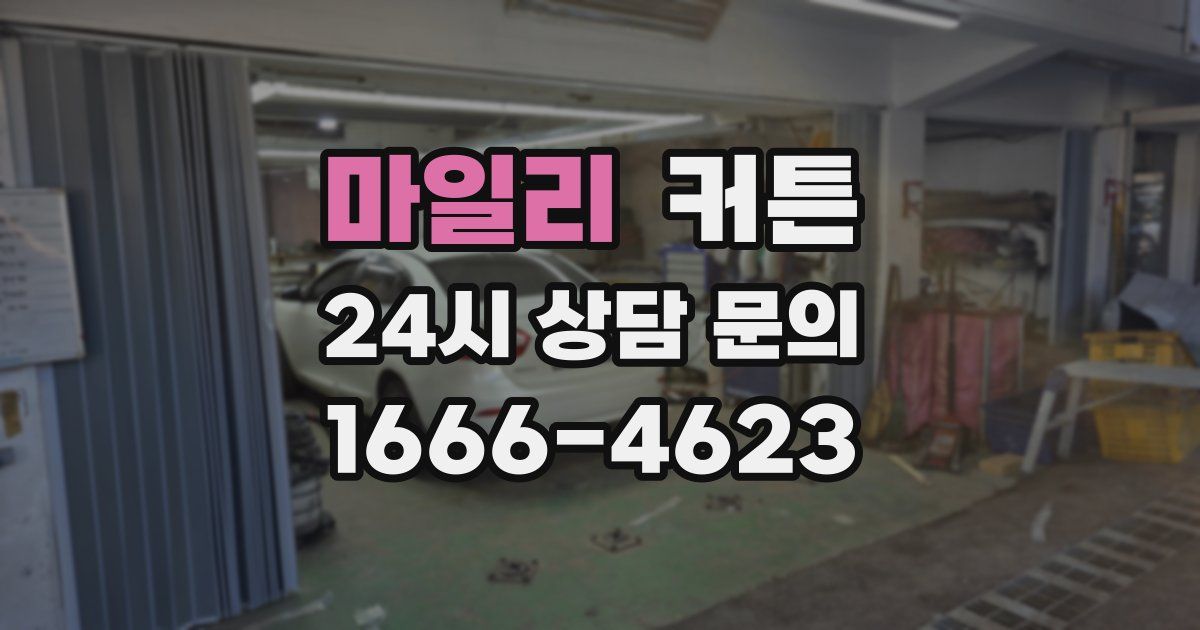 마일리 커튼
