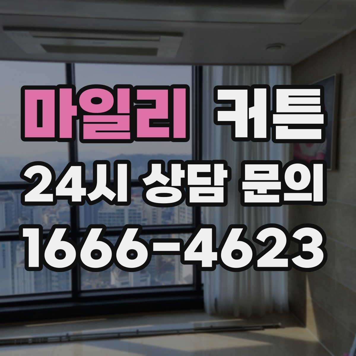마일리 커튼