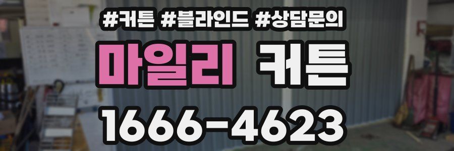 마일리 커튼