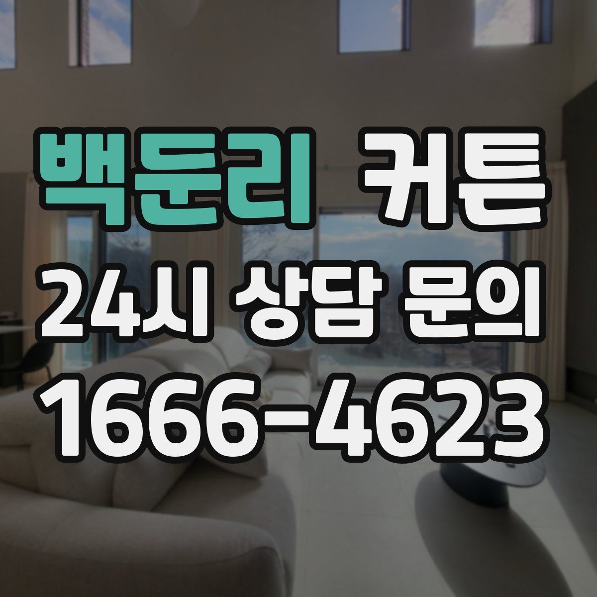 백둔리 커튼
