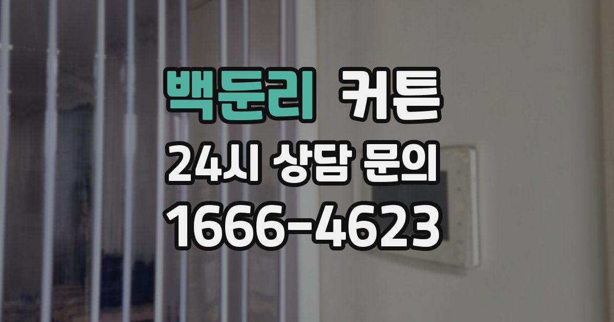 백둔리 커튼