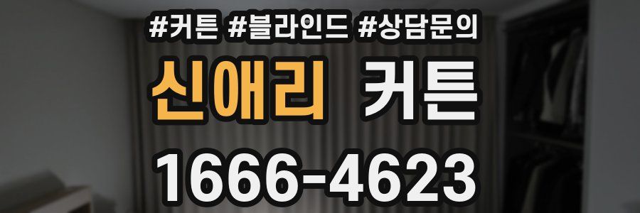 신애리 커튼