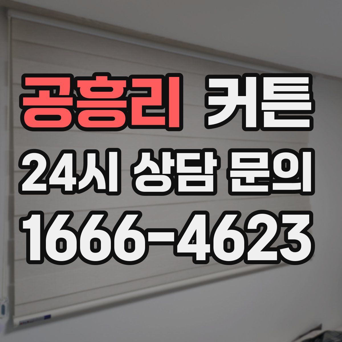 공흥리 커튼