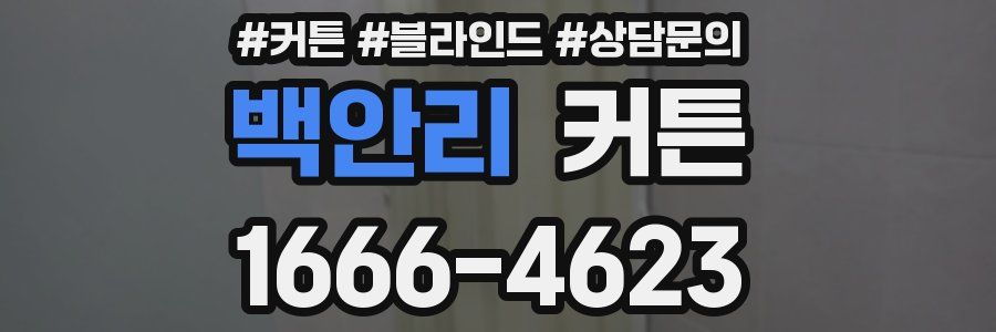 백안리 커튼