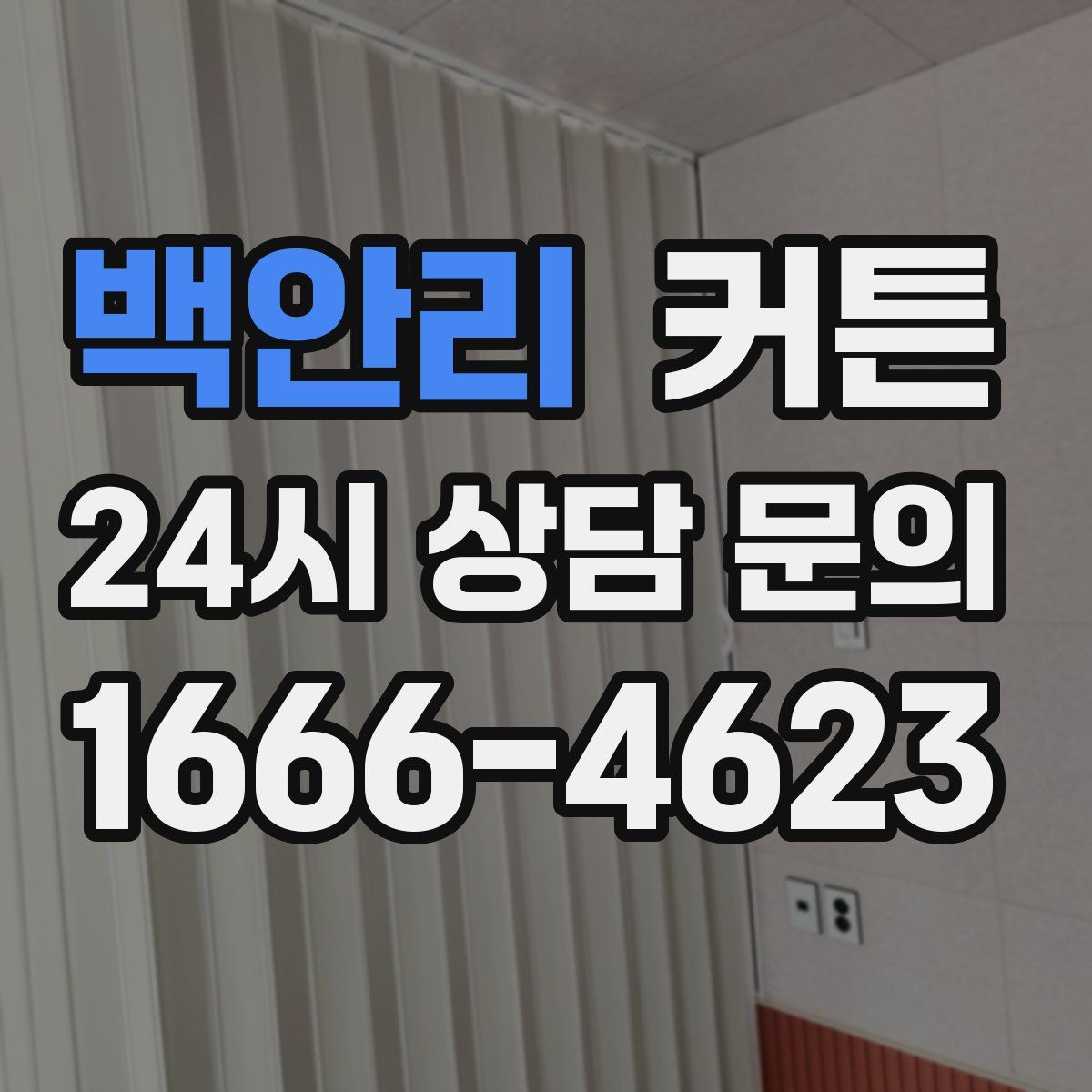 백안리 커튼