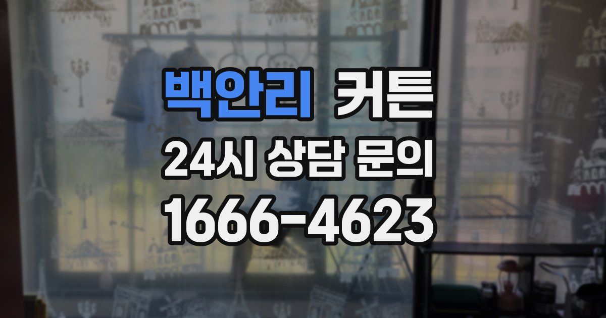 백안리 커튼