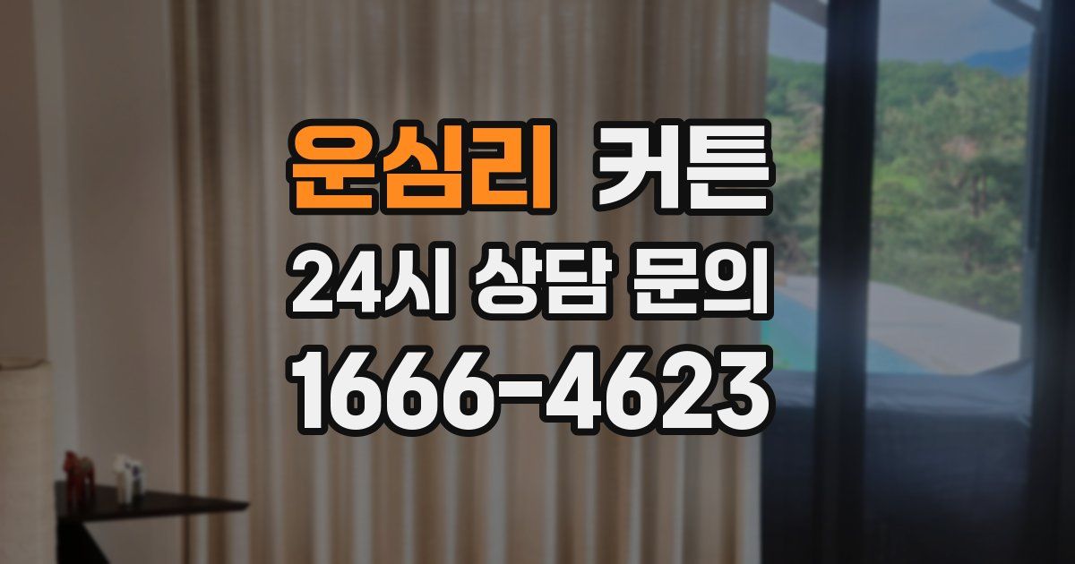 운심리 커튼