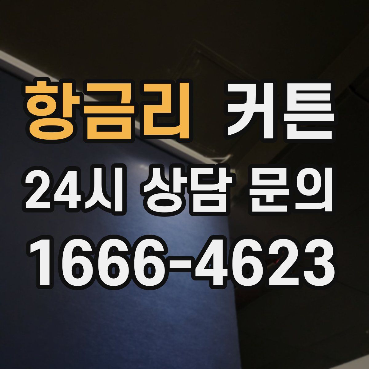 항금리 커튼
