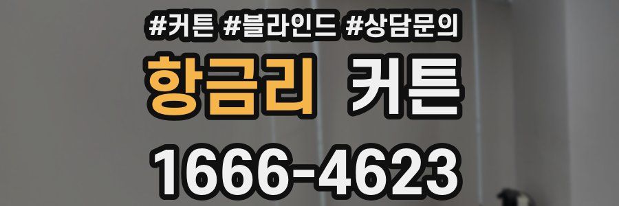 항금리 커튼