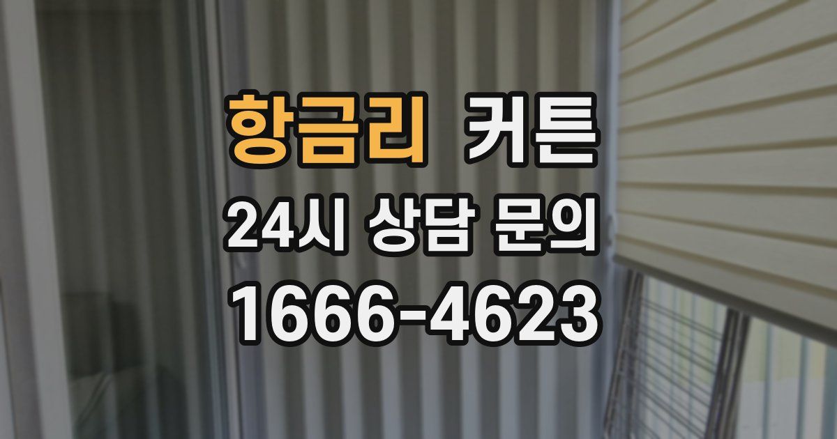항금리 커튼