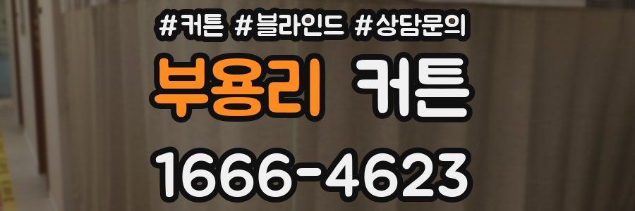 부용리 커튼