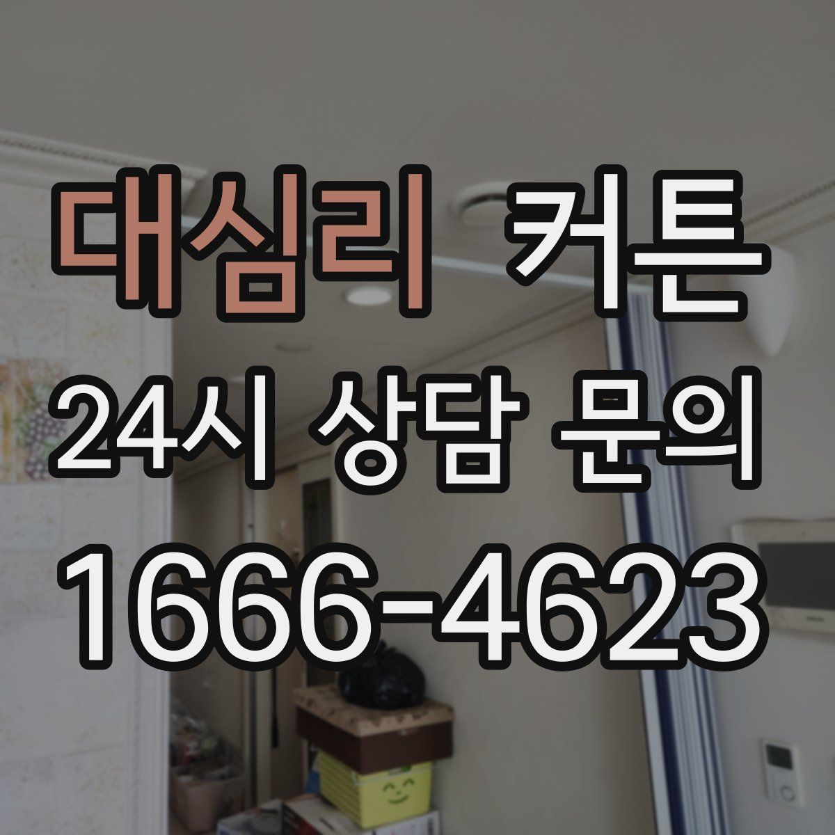 대심리 커튼