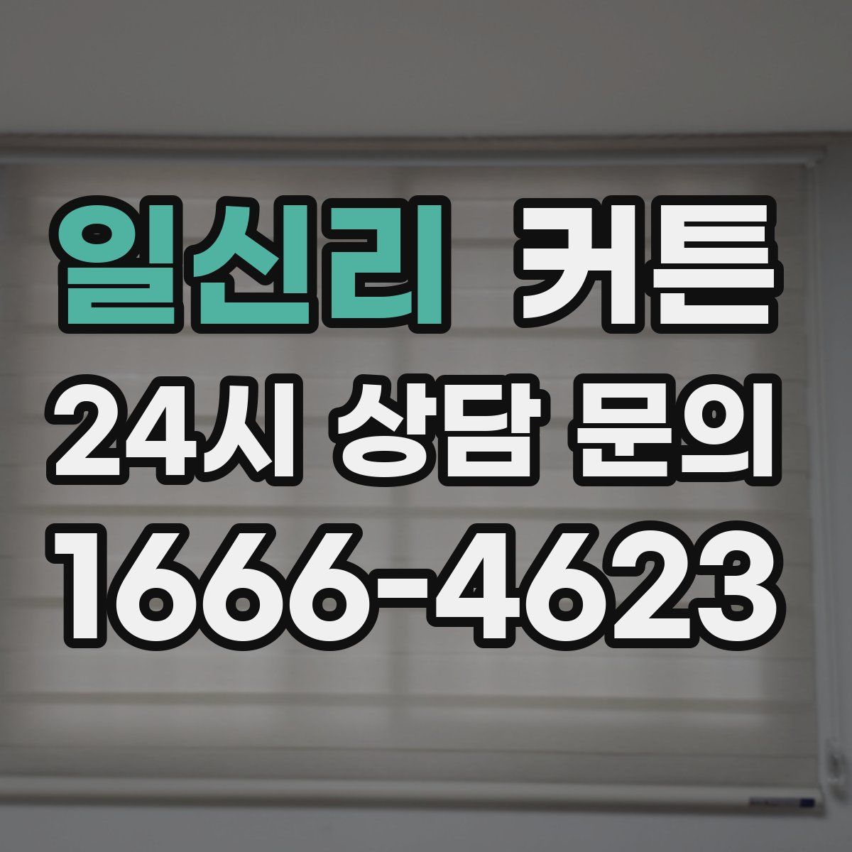 일신리 커튼