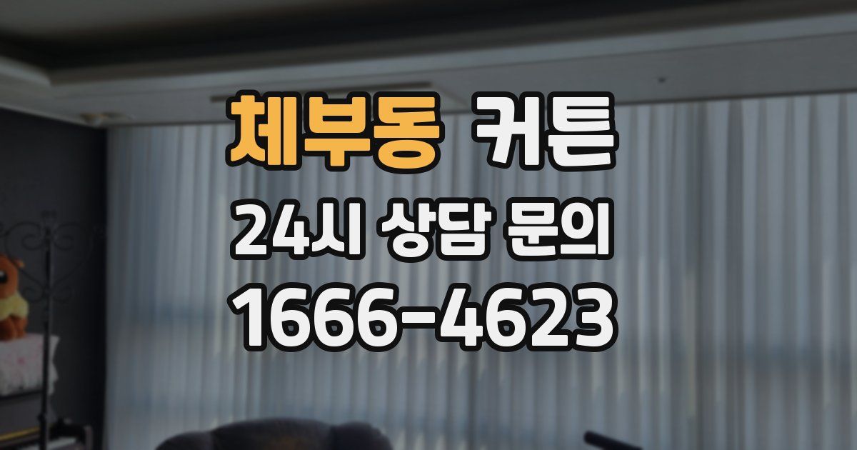 체부동 커튼