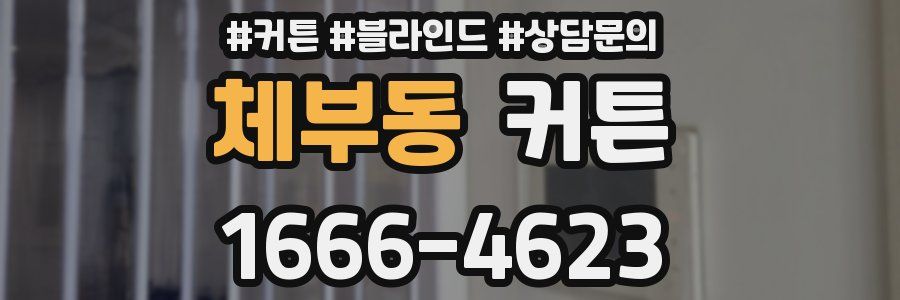 체부동 커튼
