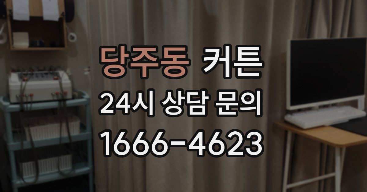 당주동 커튼