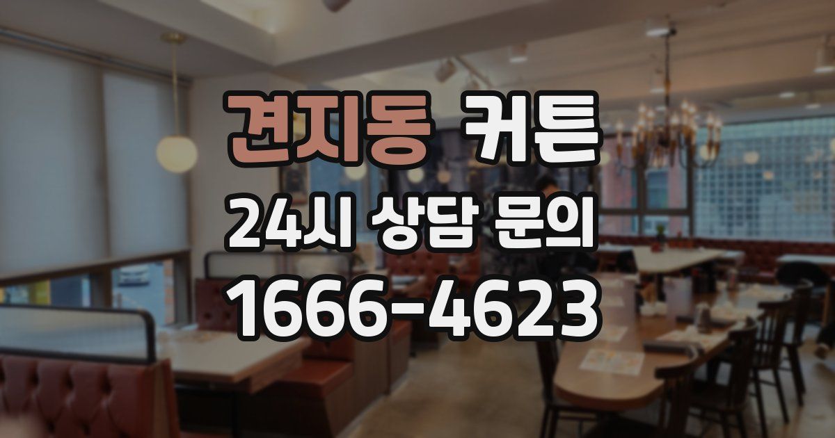 견지동 커튼