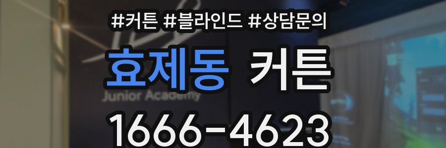 효제동 커튼