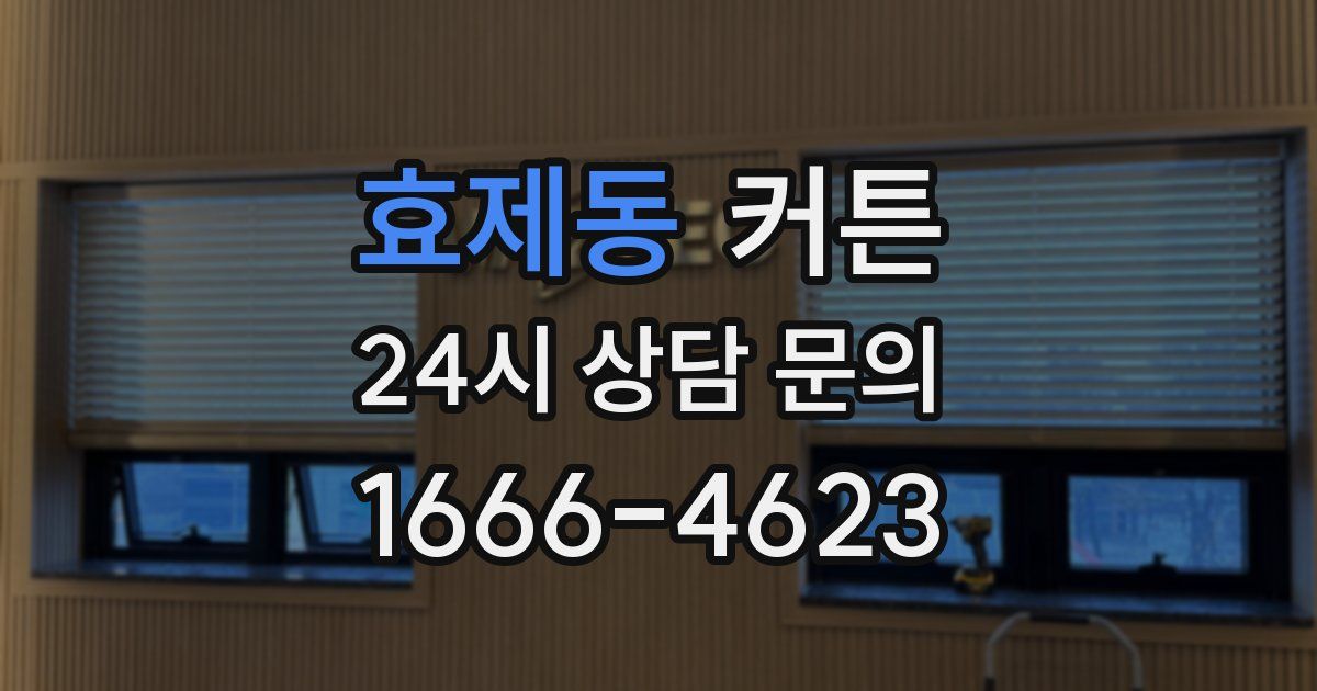 효제동 커튼