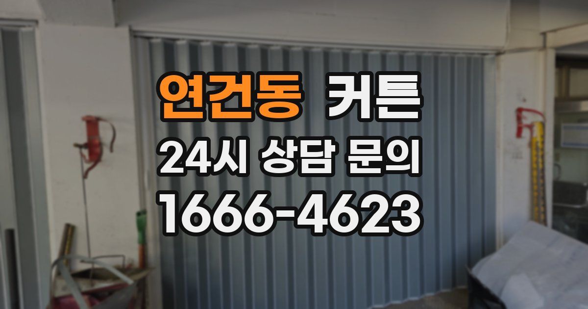 연건동 커튼