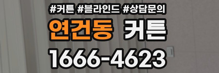 연건동 커튼