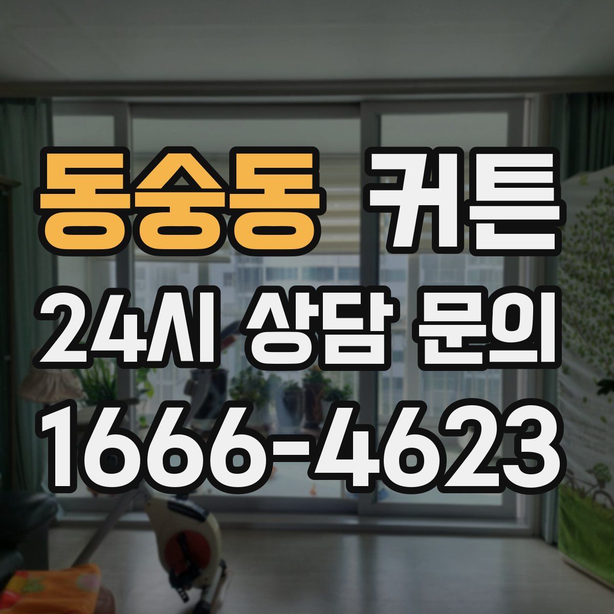 동숭동 커튼