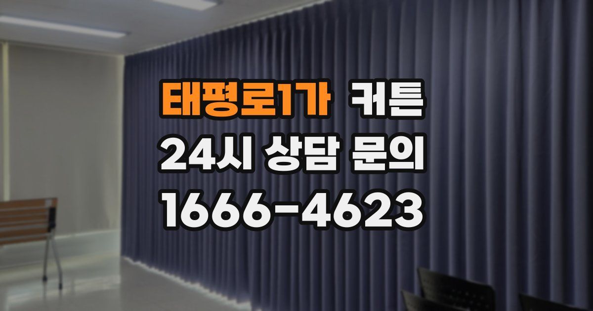 태평로1가 커튼