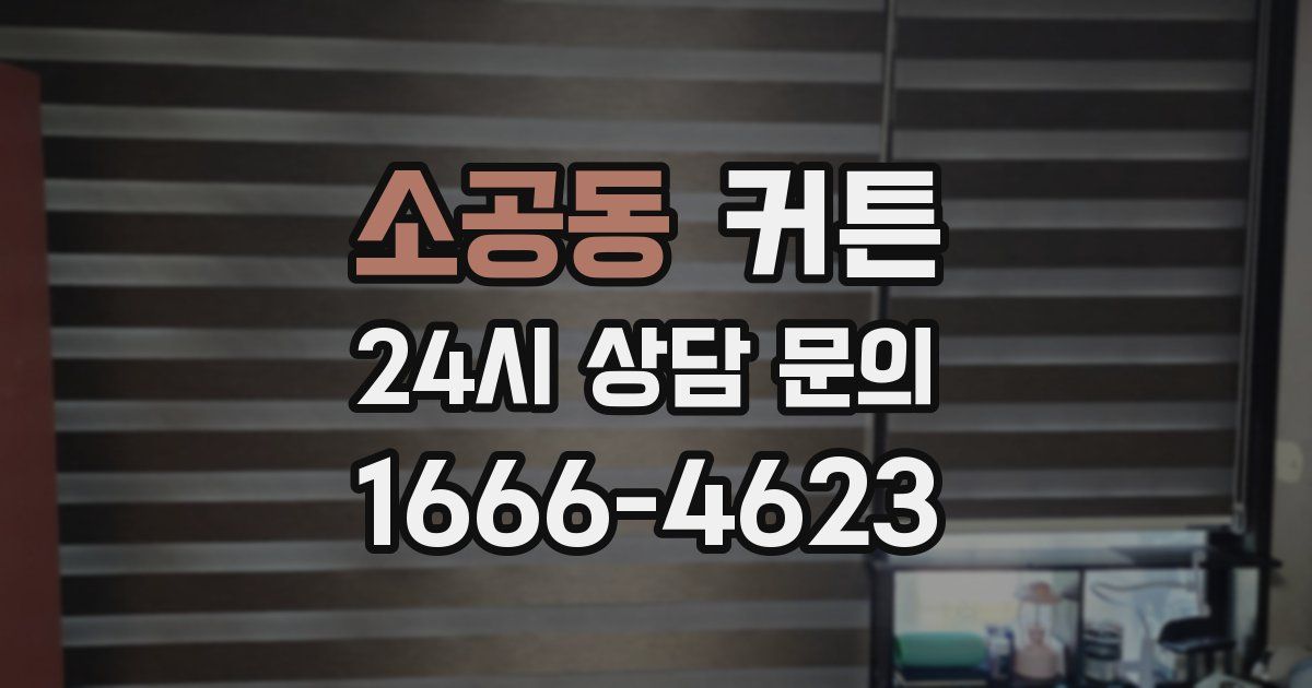 소공동 커튼