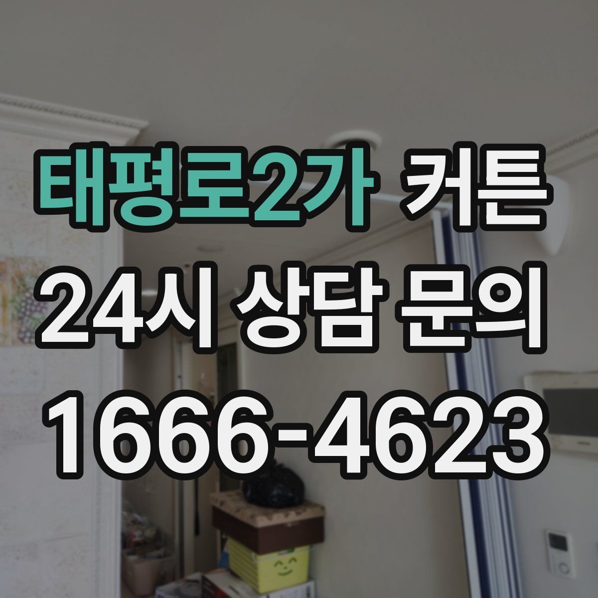 태평로2가 커튼