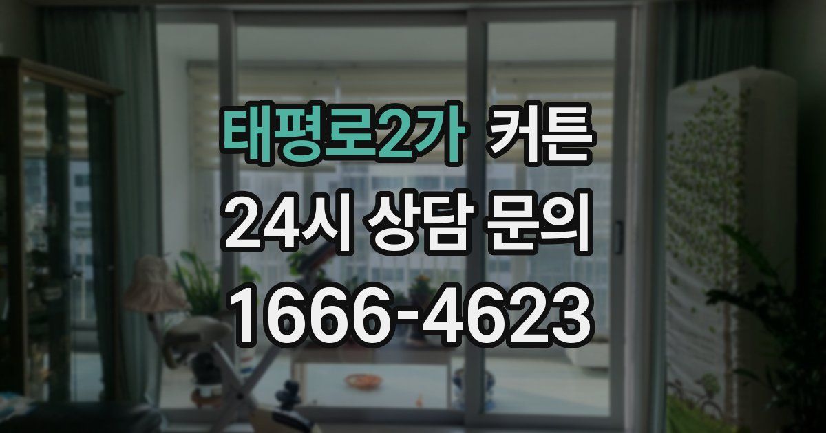 태평로2가 커튼