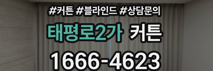 태평로2가 커튼