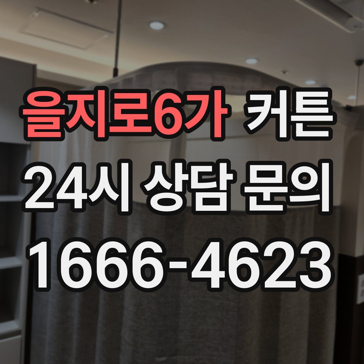 을지로6가 커튼