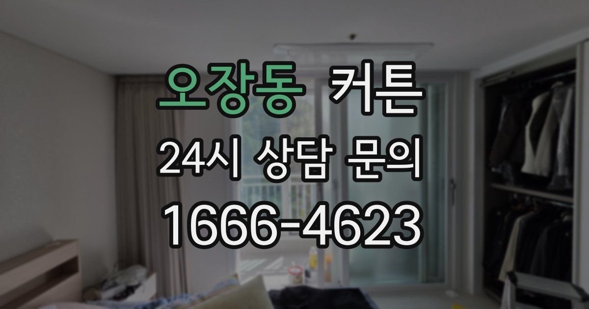 오장동 커튼