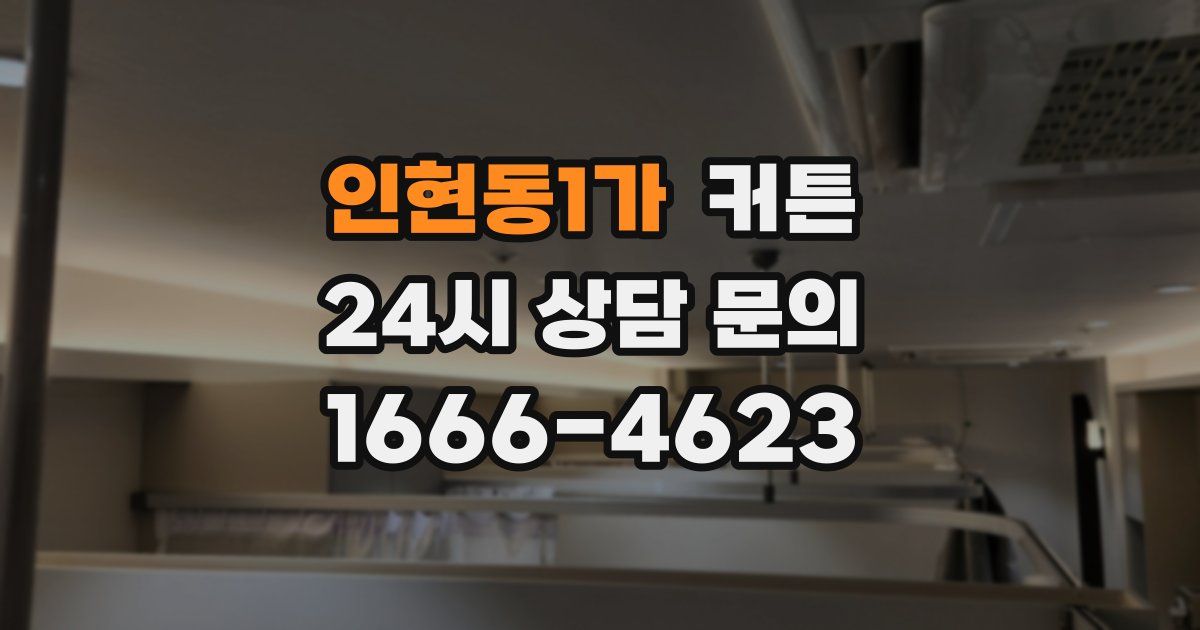 인현동1가 커튼
