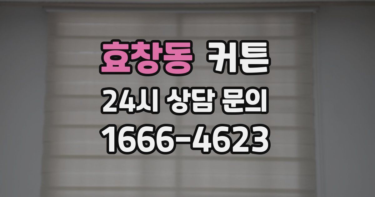 효창동 커튼