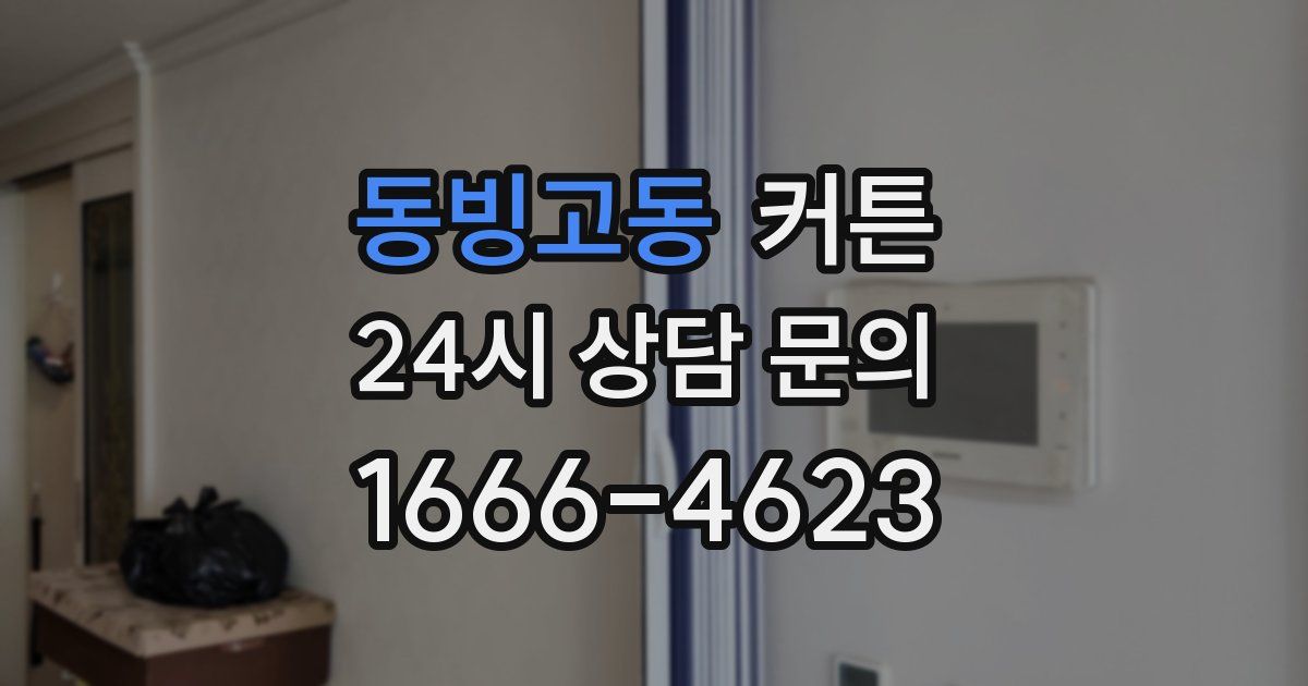 동빙고동 커튼