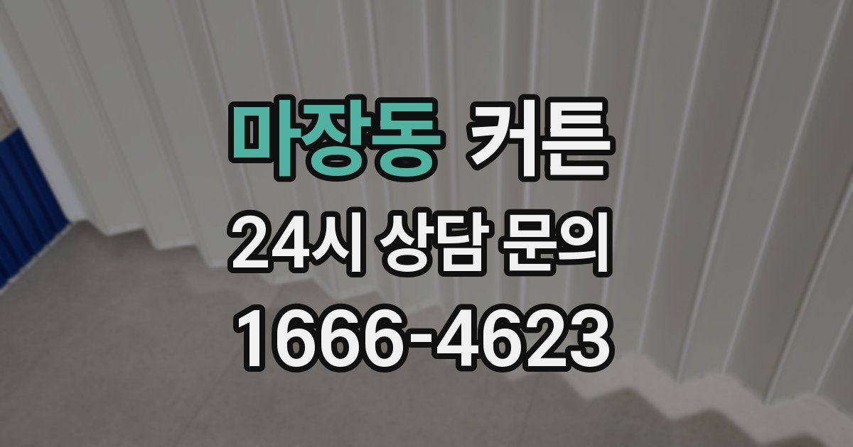 마장동 커튼
