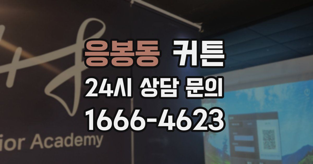 응봉동 커튼