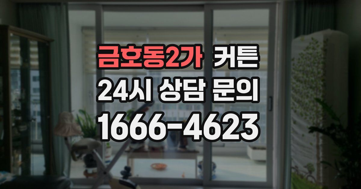 금호동2가 커튼