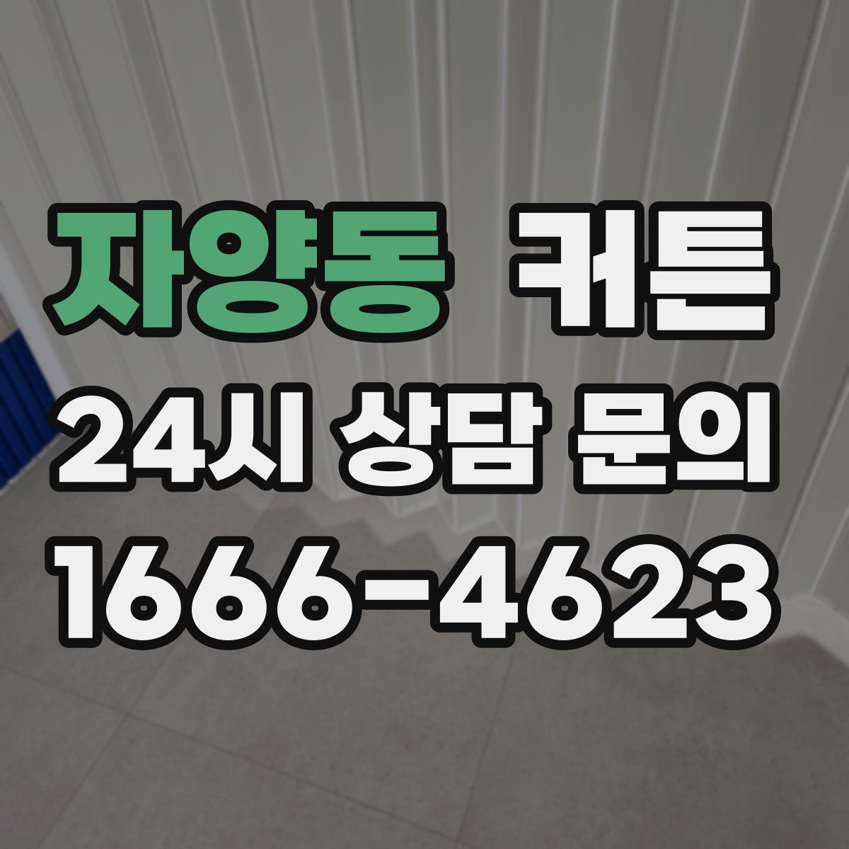 자양동 커튼