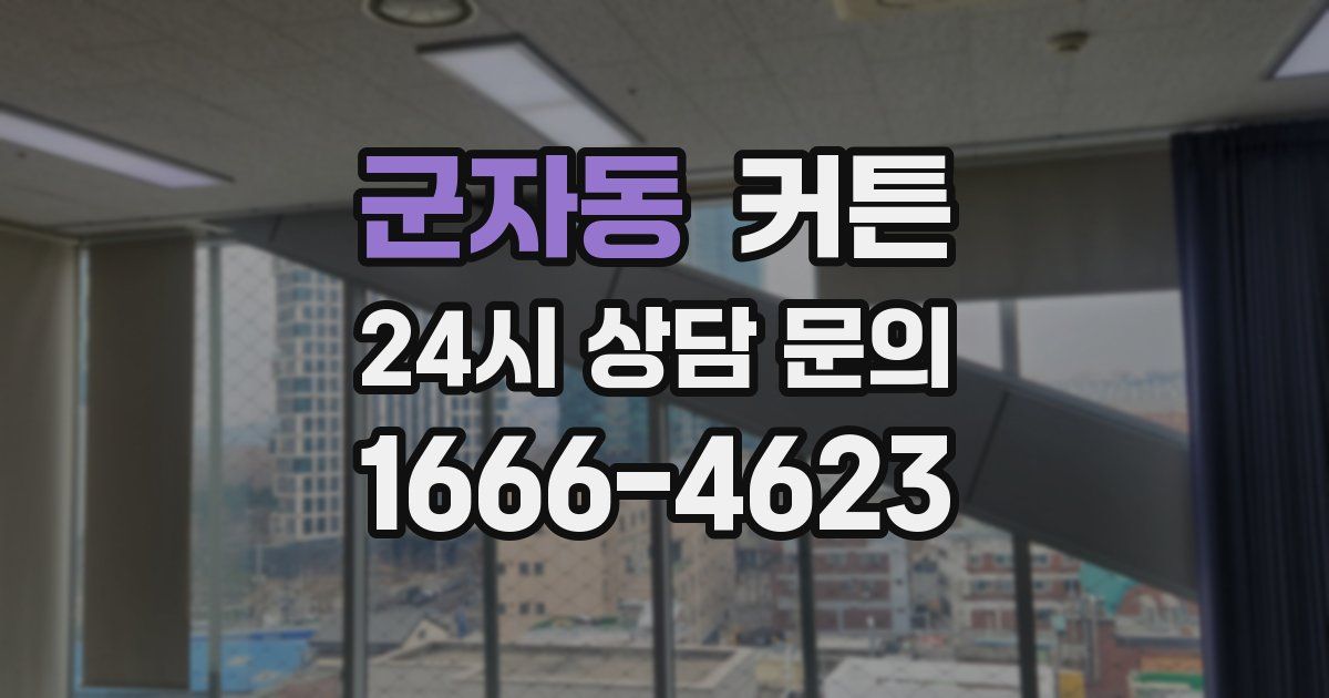 군자동 커튼
